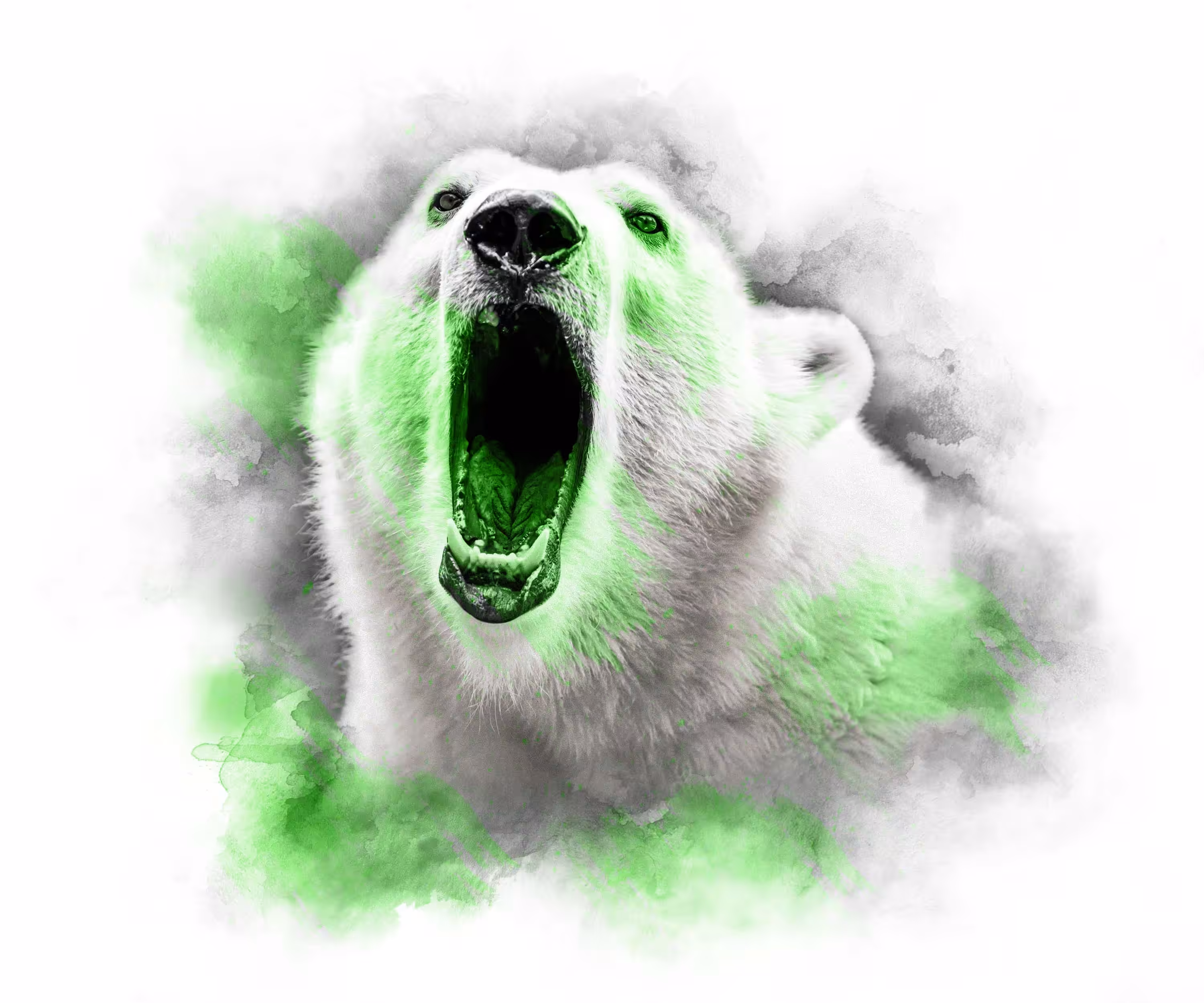 LIME SERIES - POLAR BEAR