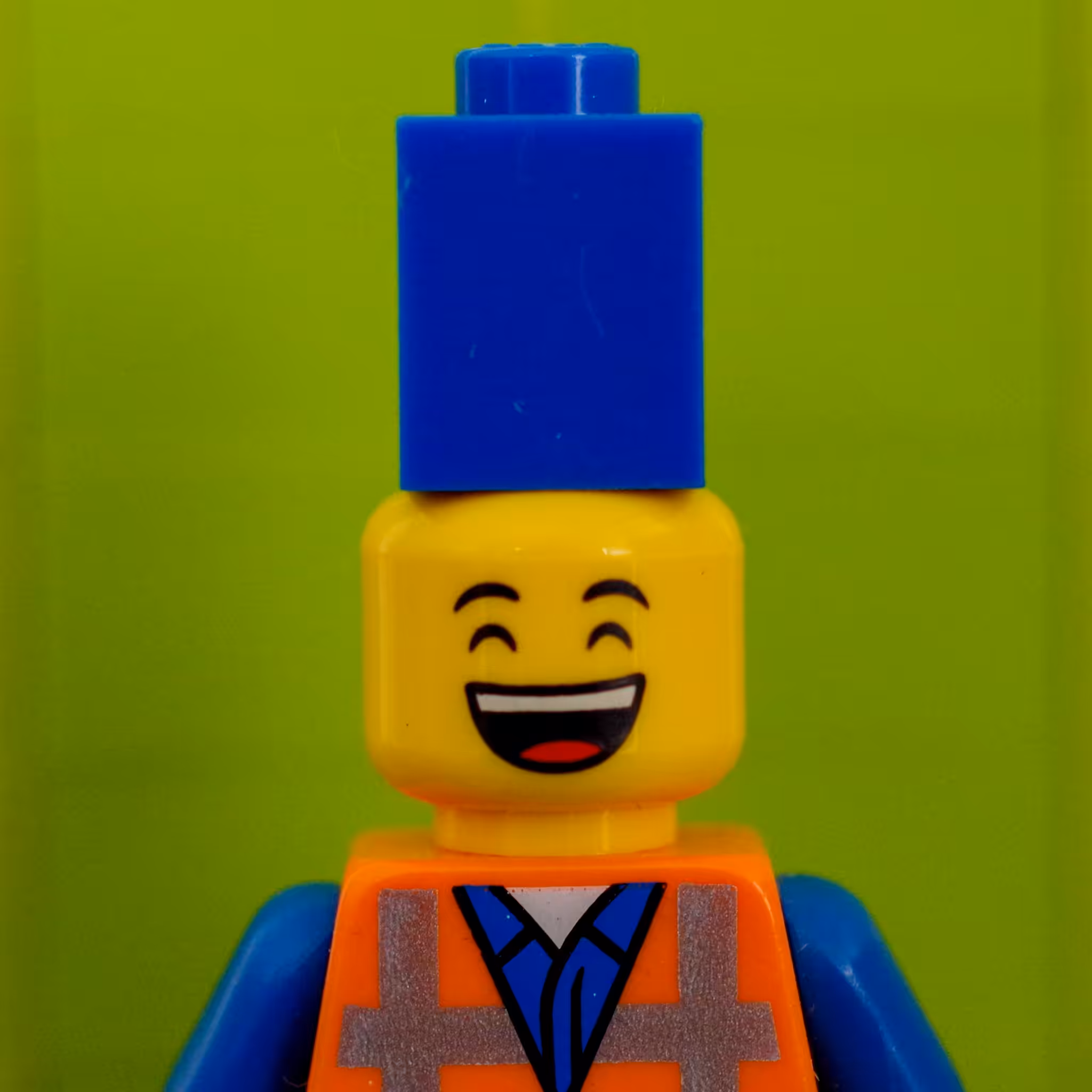 BOTH_003