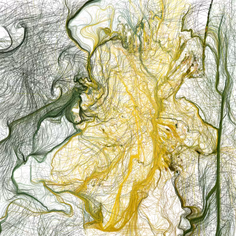 Hypericum #154