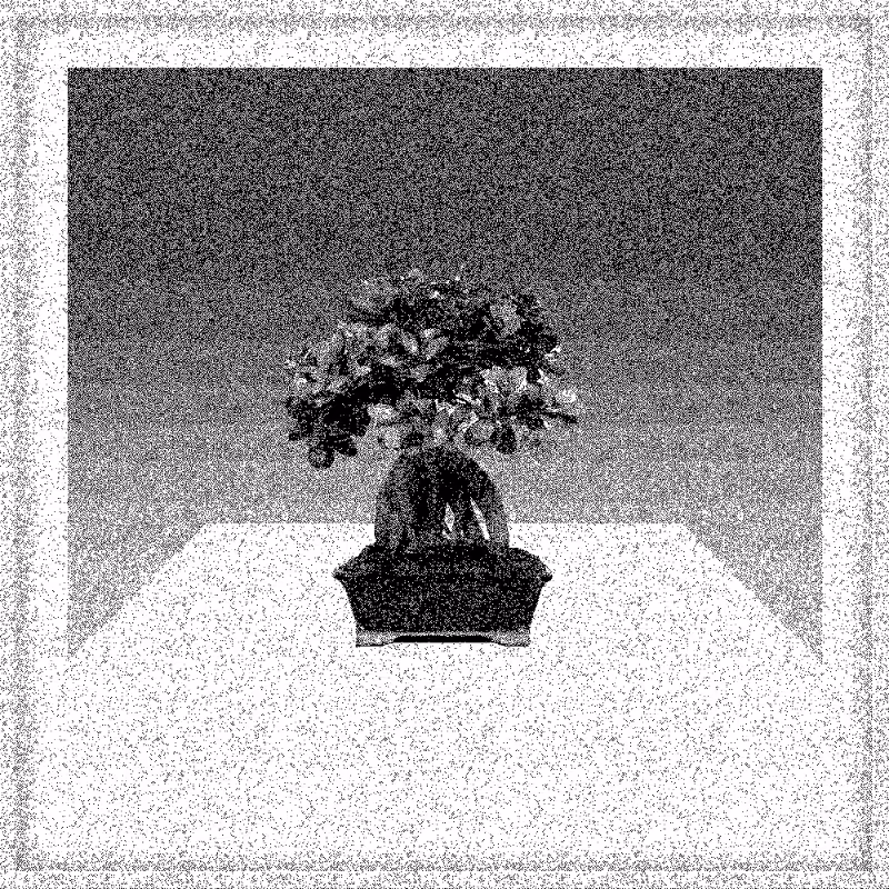 Bonsai Bonanza #536