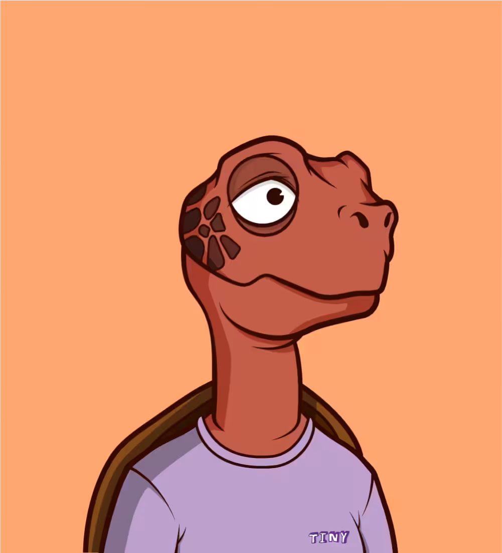 Tiny Turtle 77