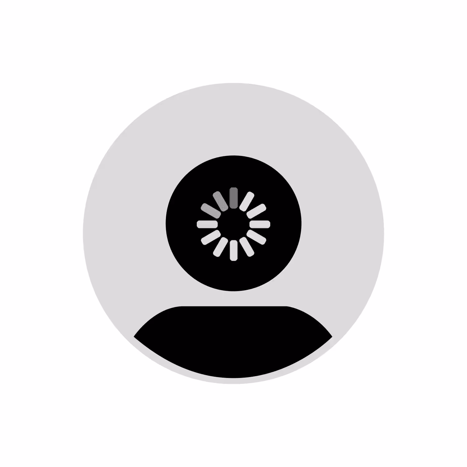 No PFP Project: No PFP #0617