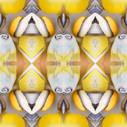 GRAVIZ#56 [[[RARE]]]