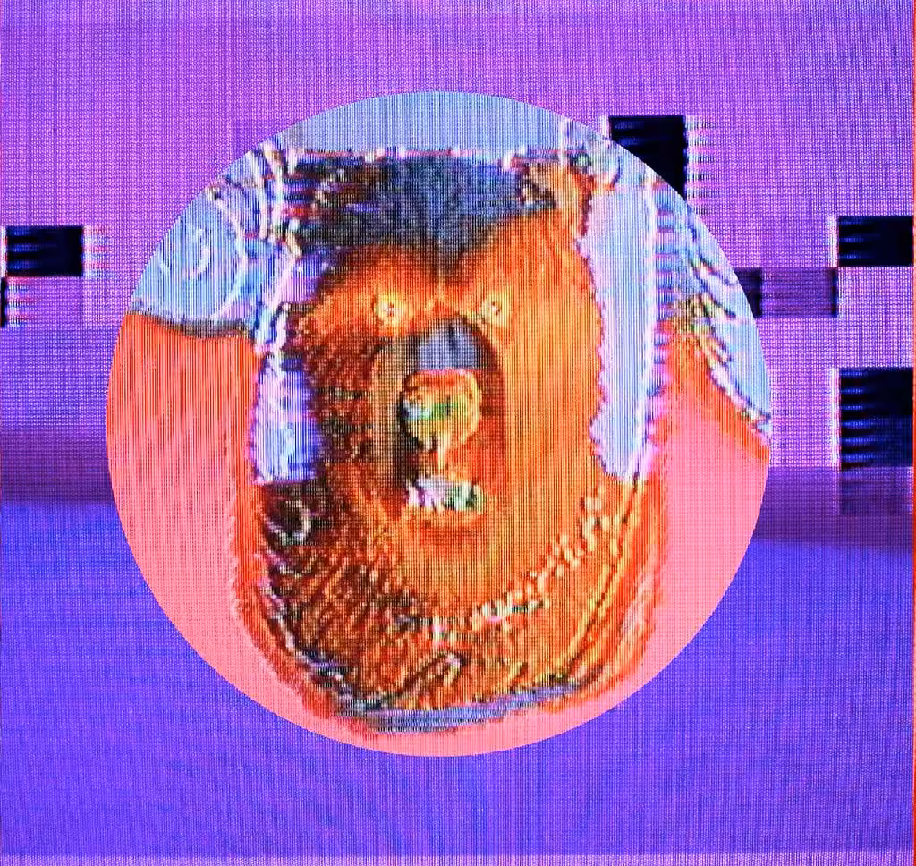 wen bear