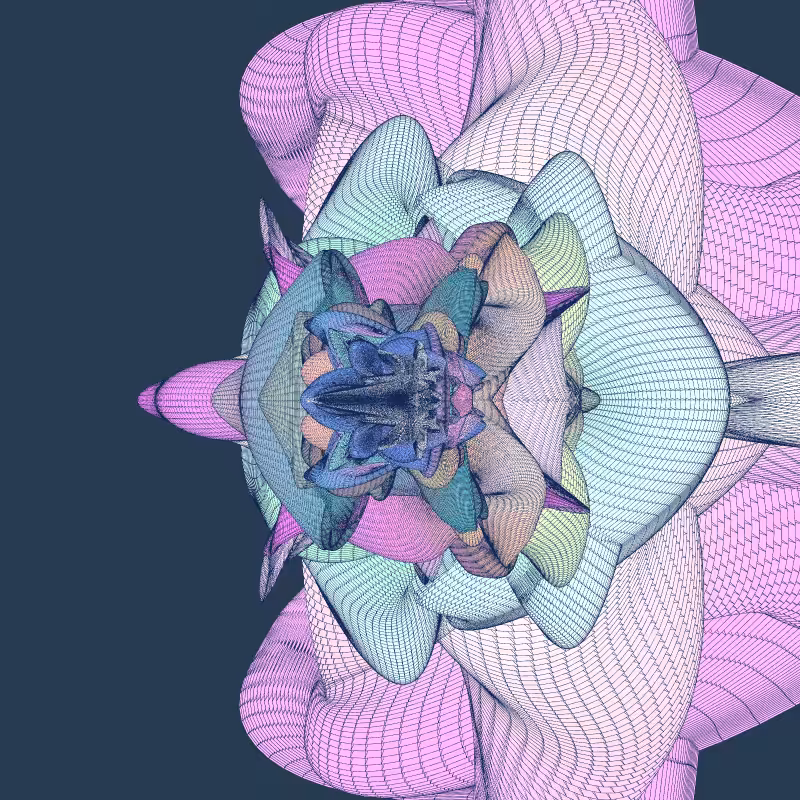 Zaratan #81