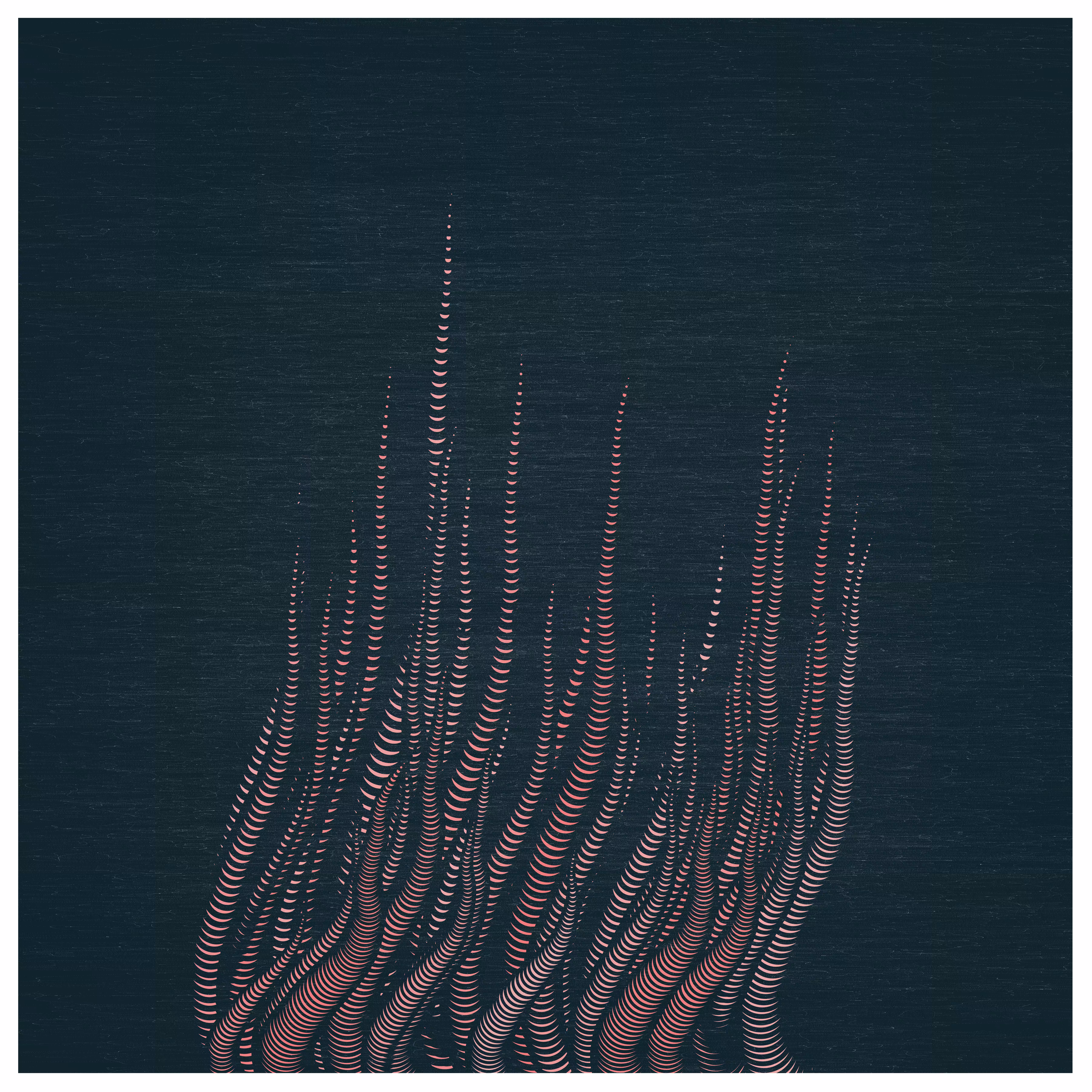 Corals #2 | Leptogorgia virgulata