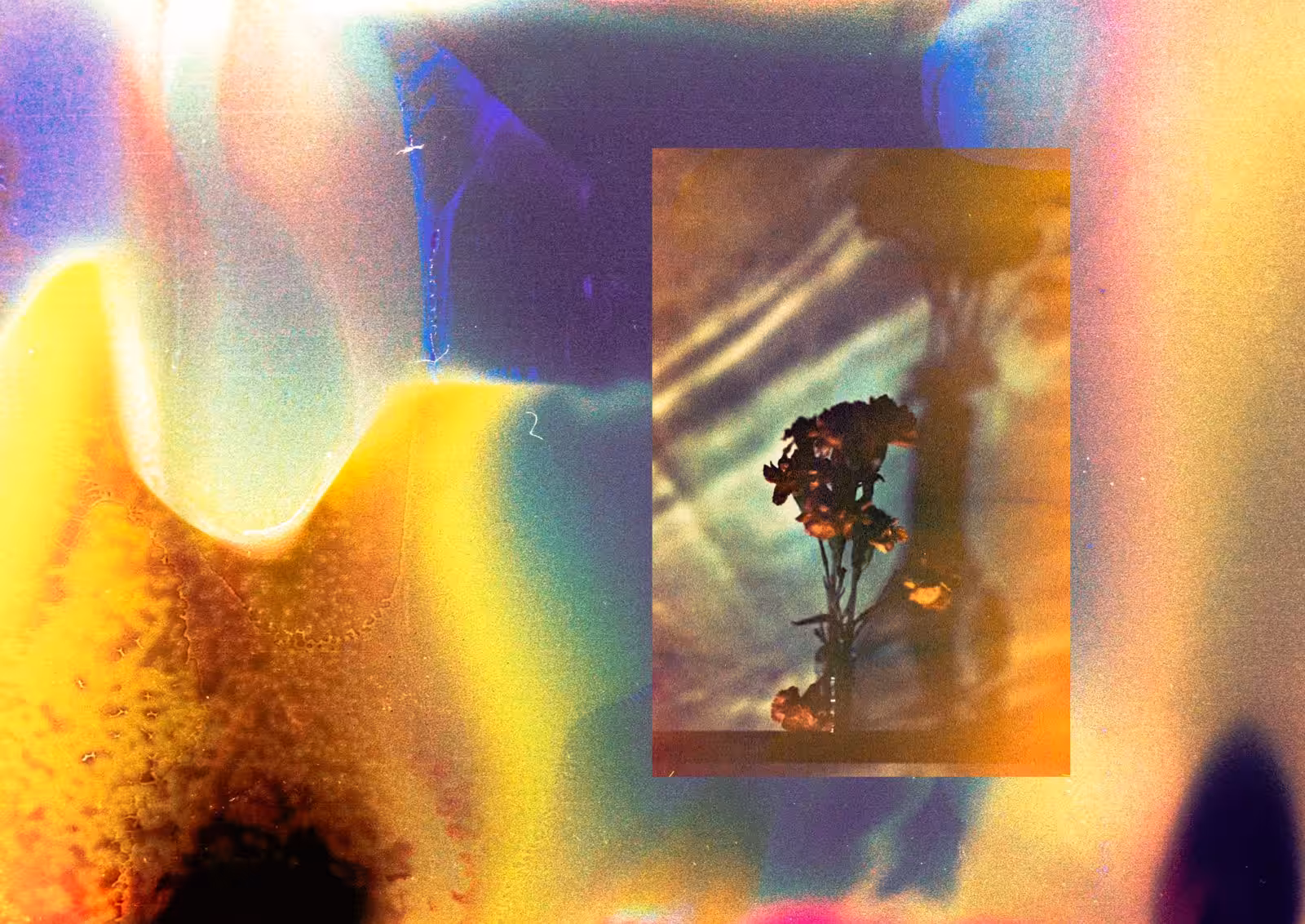 rosebud