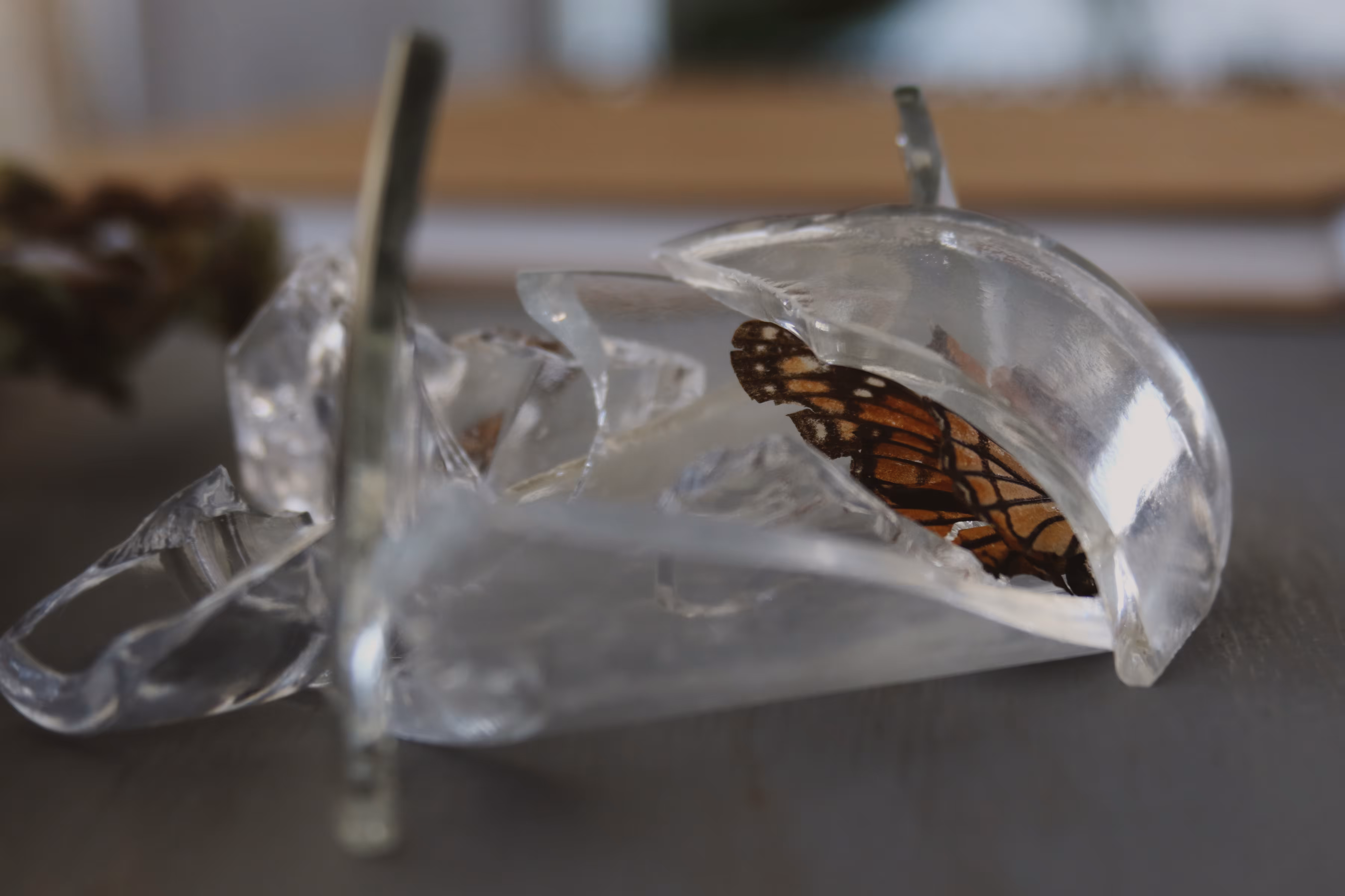 _transform