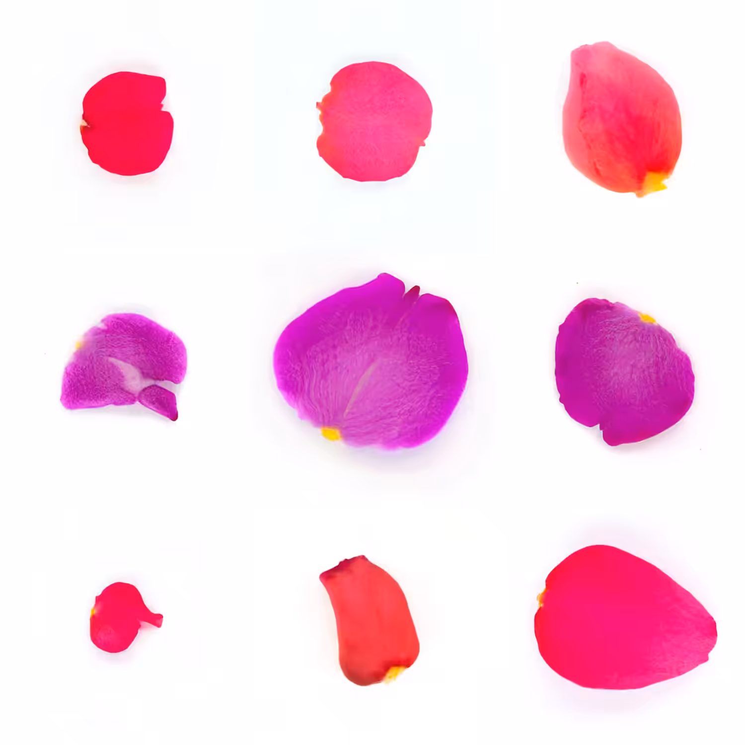 Infinite Petals 3x3#3507