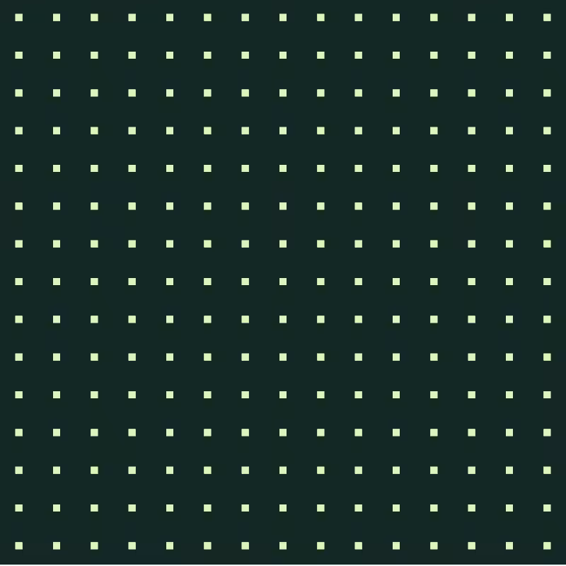 INTERACTIVE - Hide n Seek #2