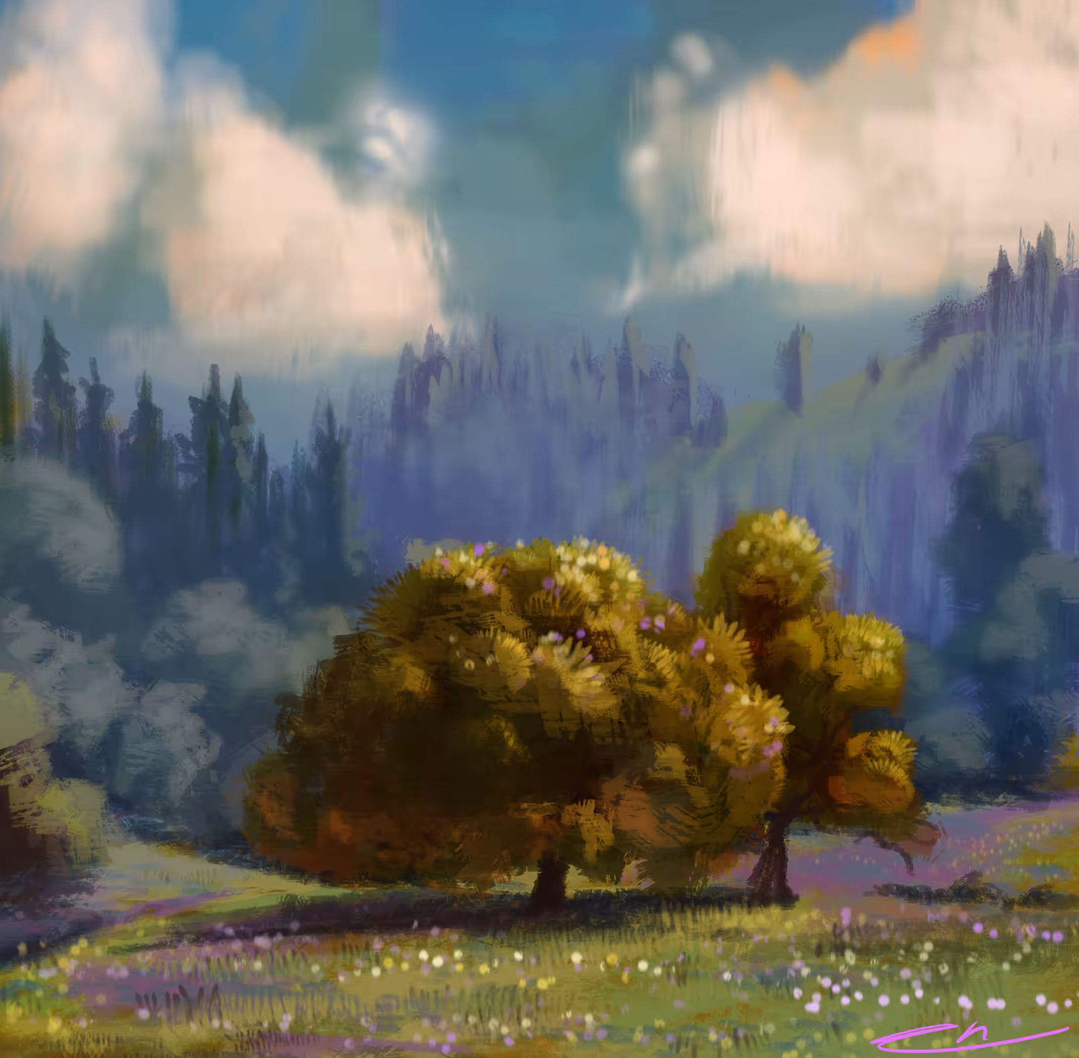 Captain's Meadow
