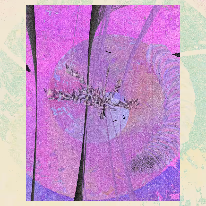 Continuum #14