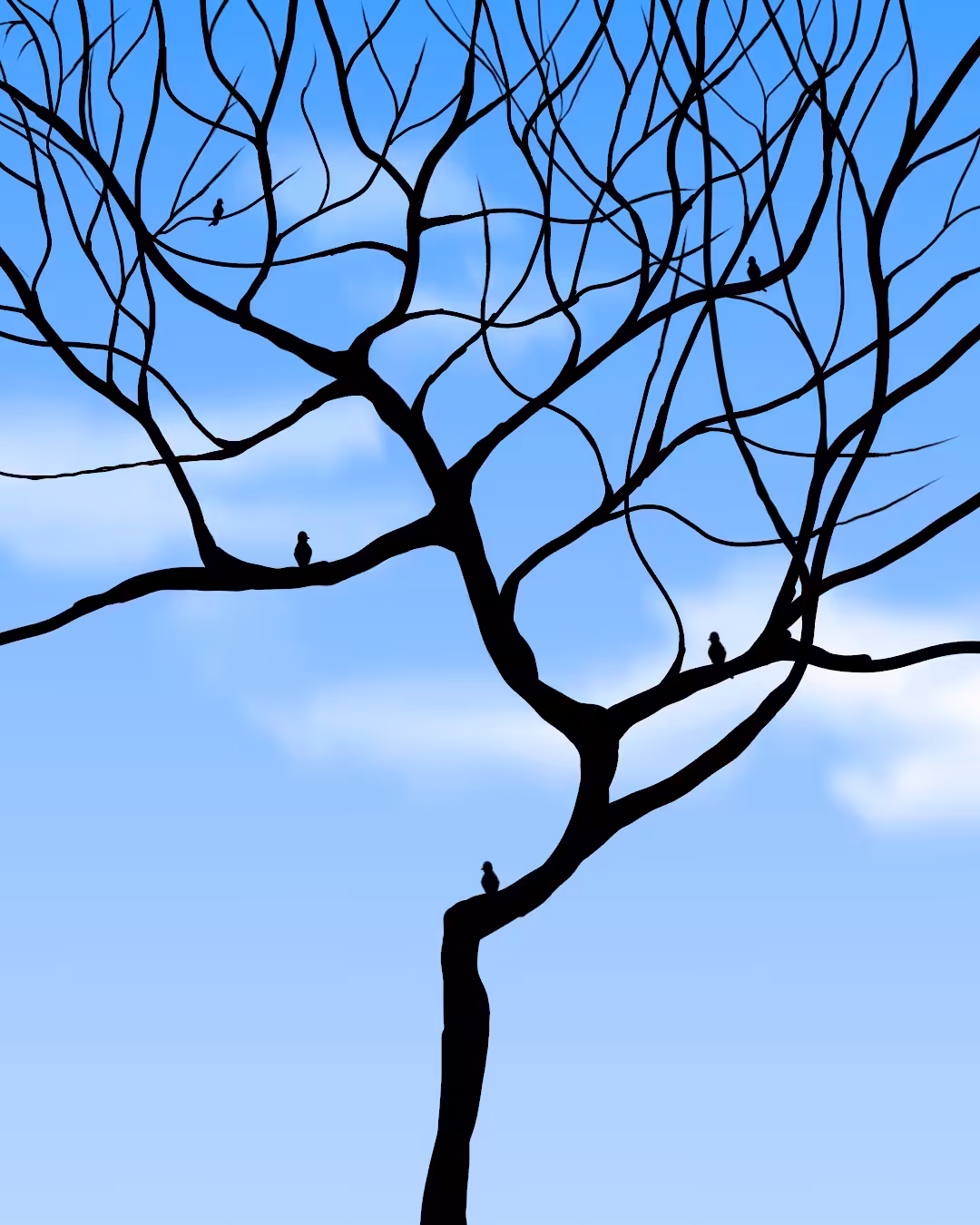 Art Of Abolfazl : SPARROWS ON THE TREE 