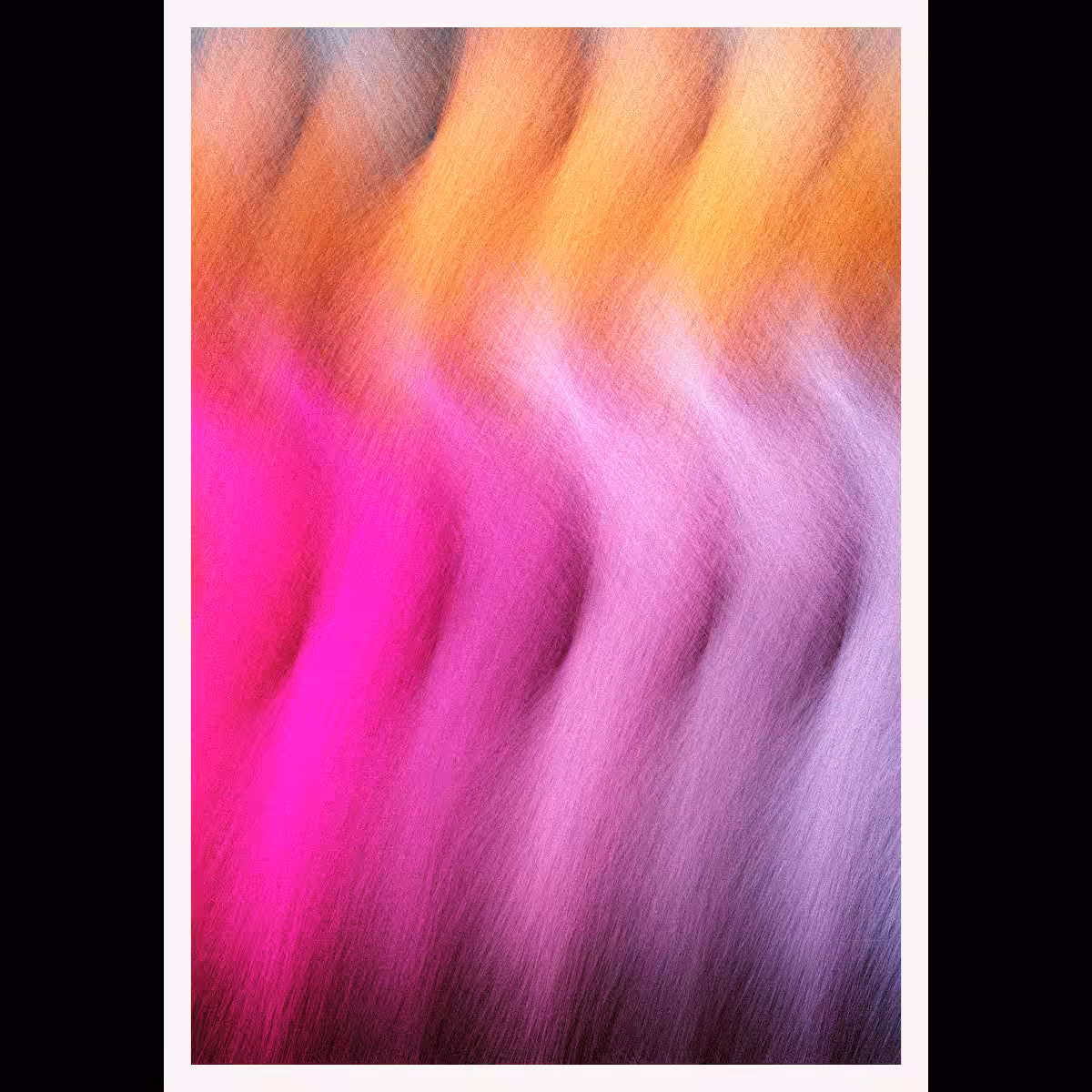 Furrr #51