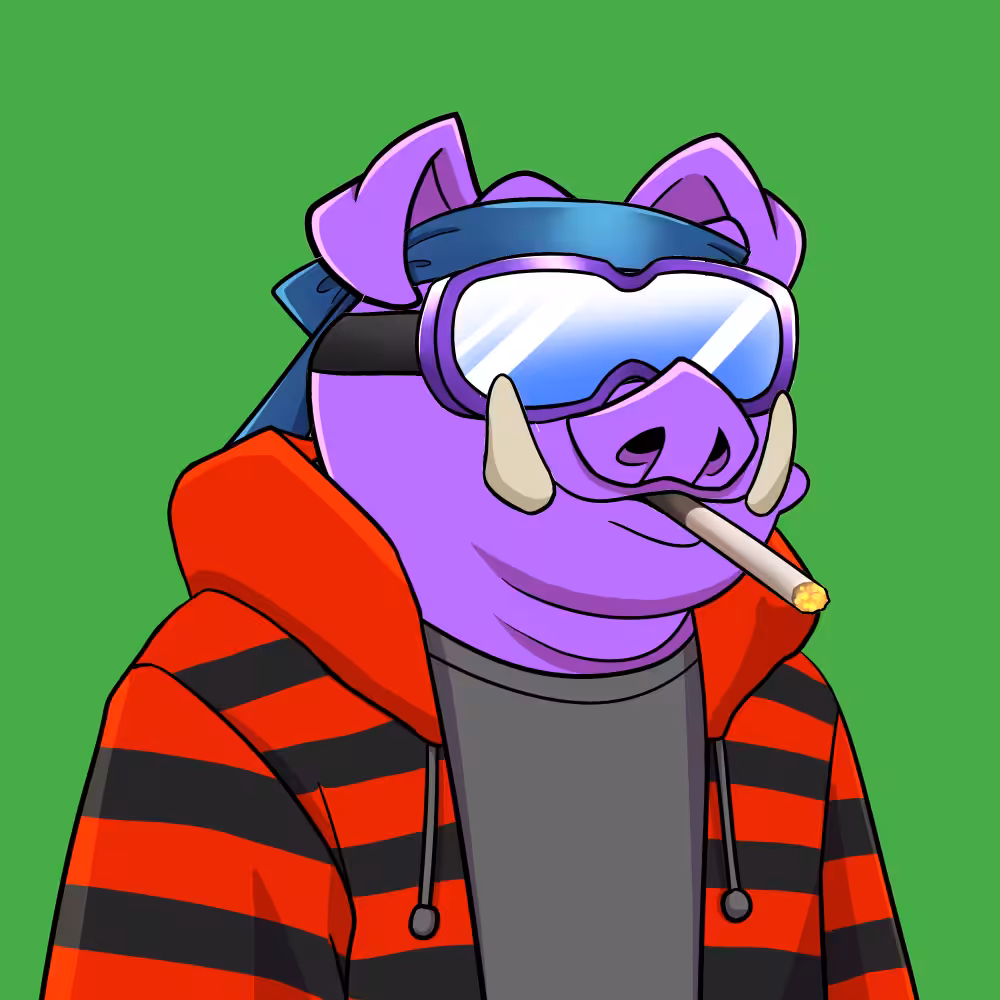 Piggie The Explorer #1