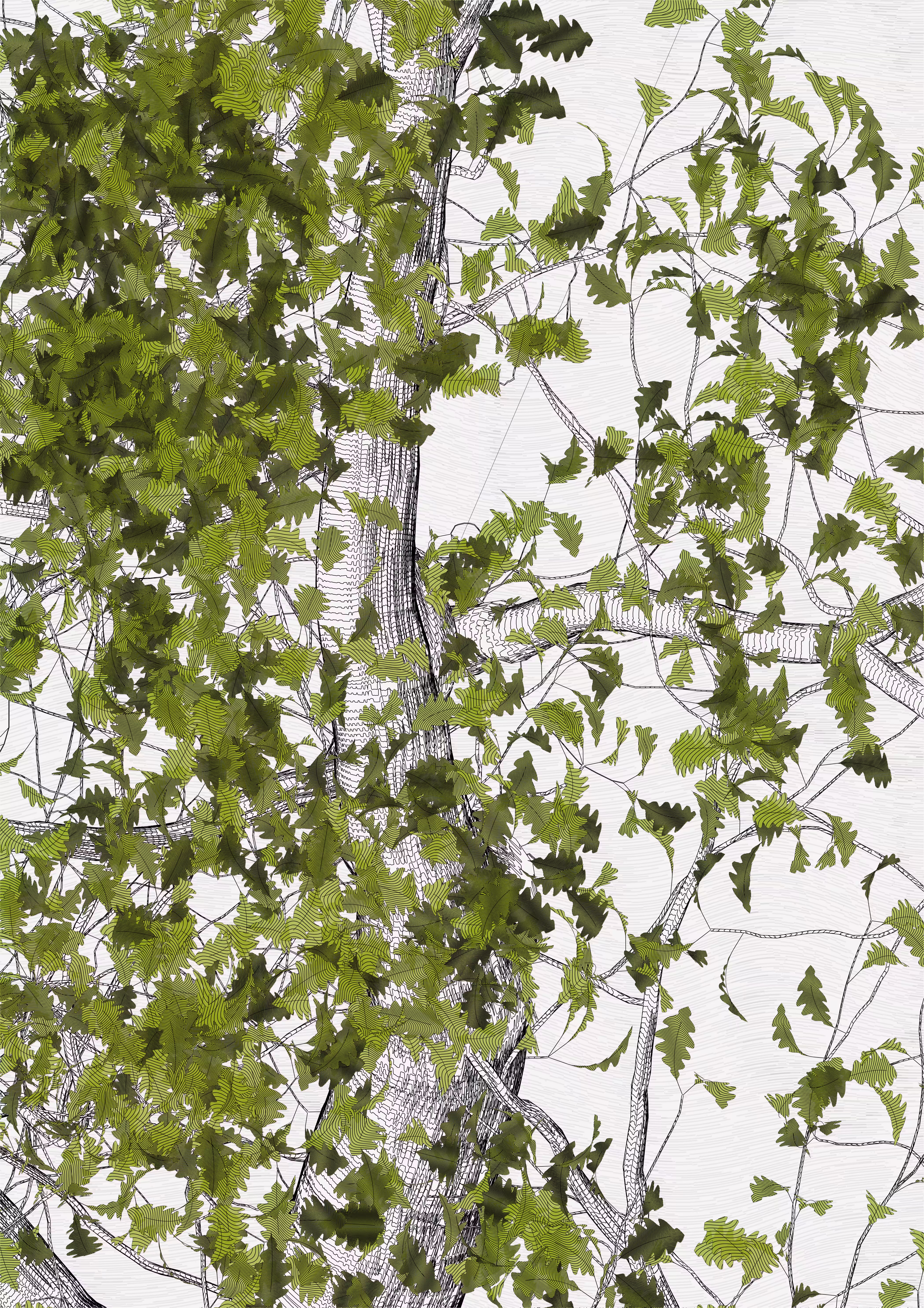The Oak Tree part #0,+1