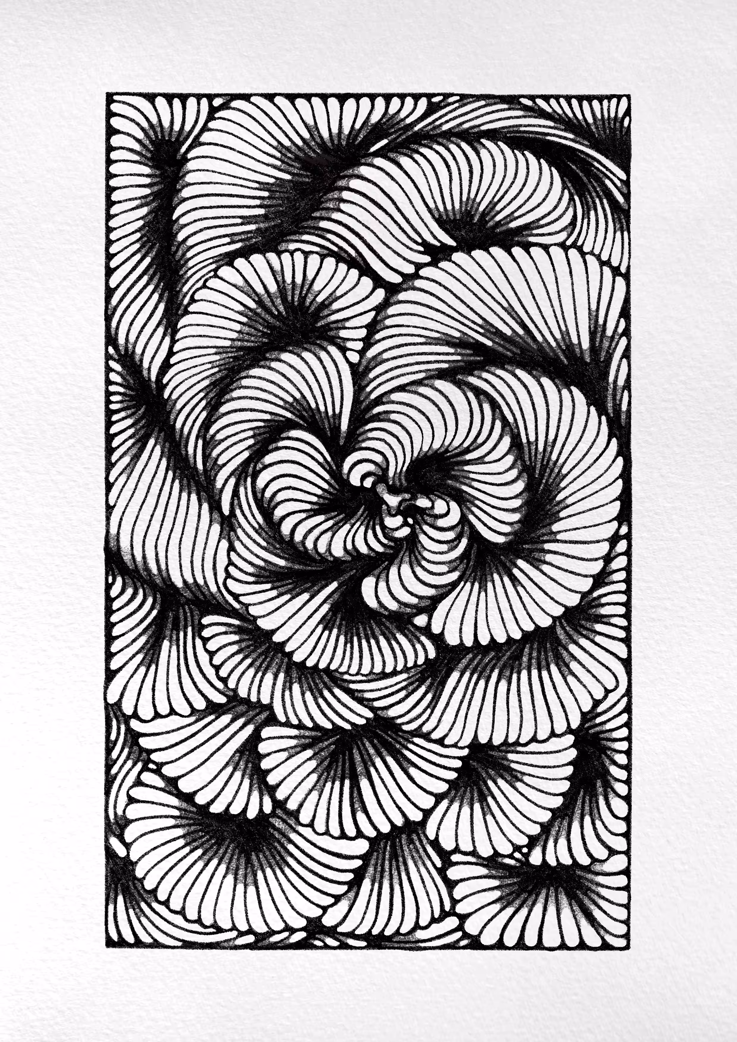 Spirals 