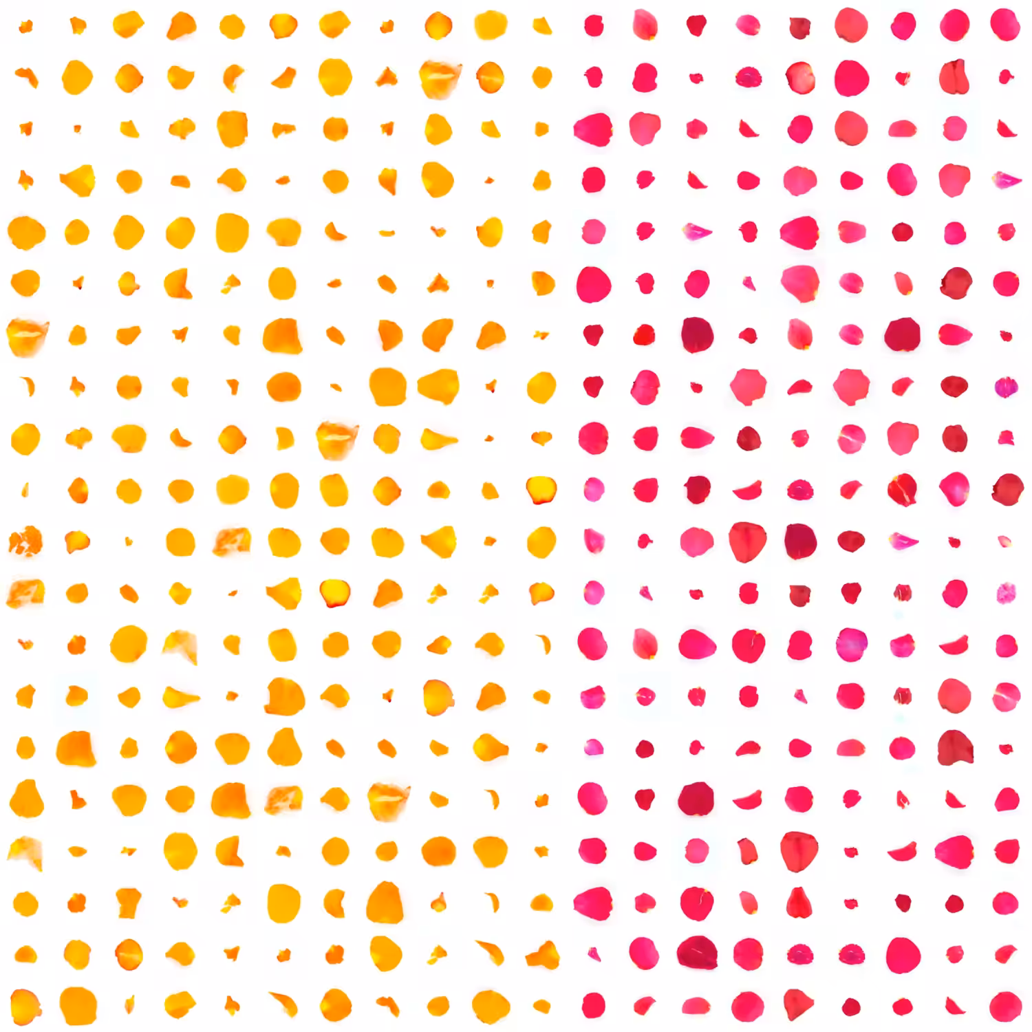 Infinite Petals 20x20#15184
