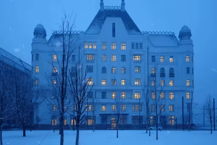 The Palace