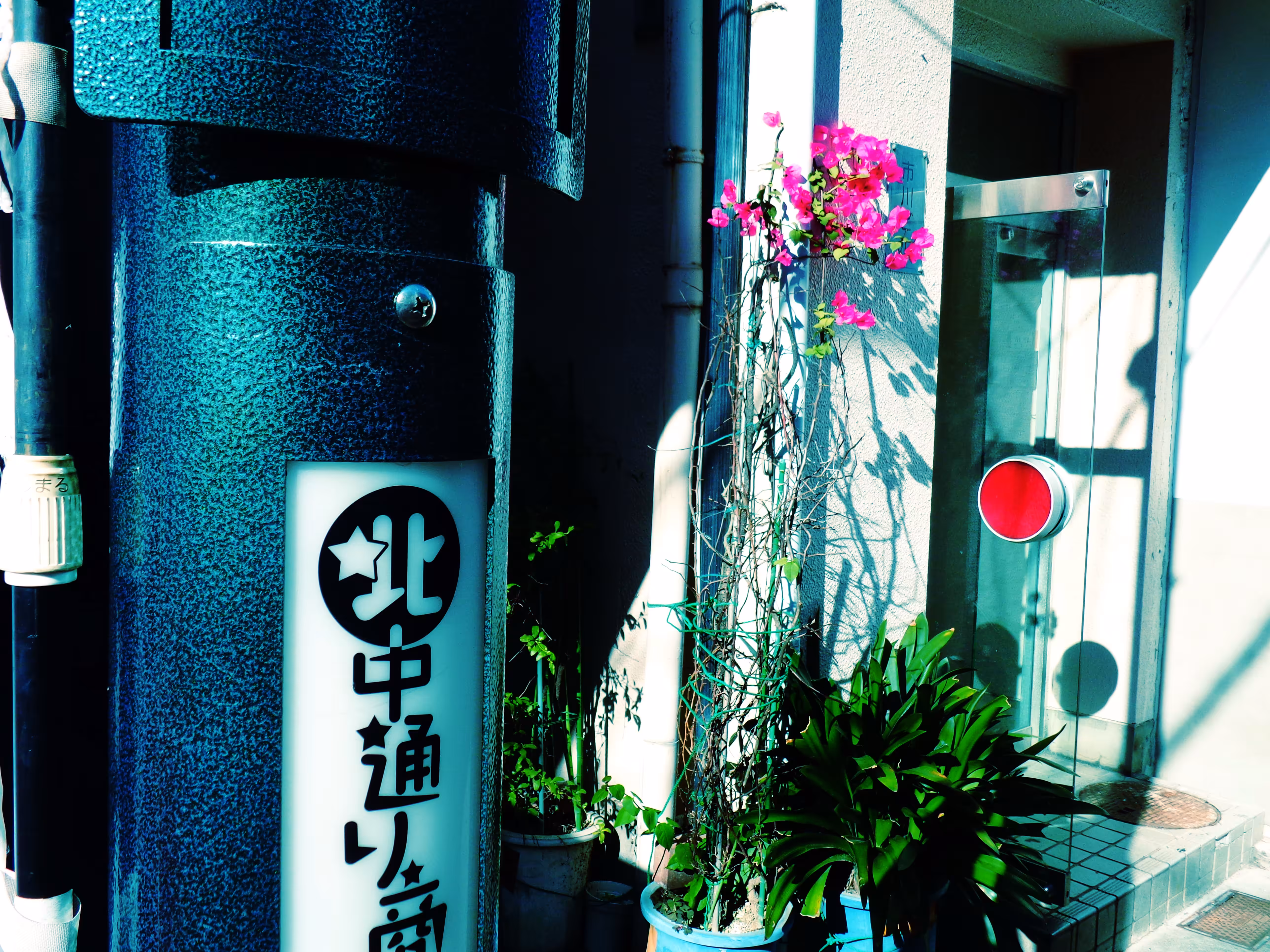 pop koenji 027