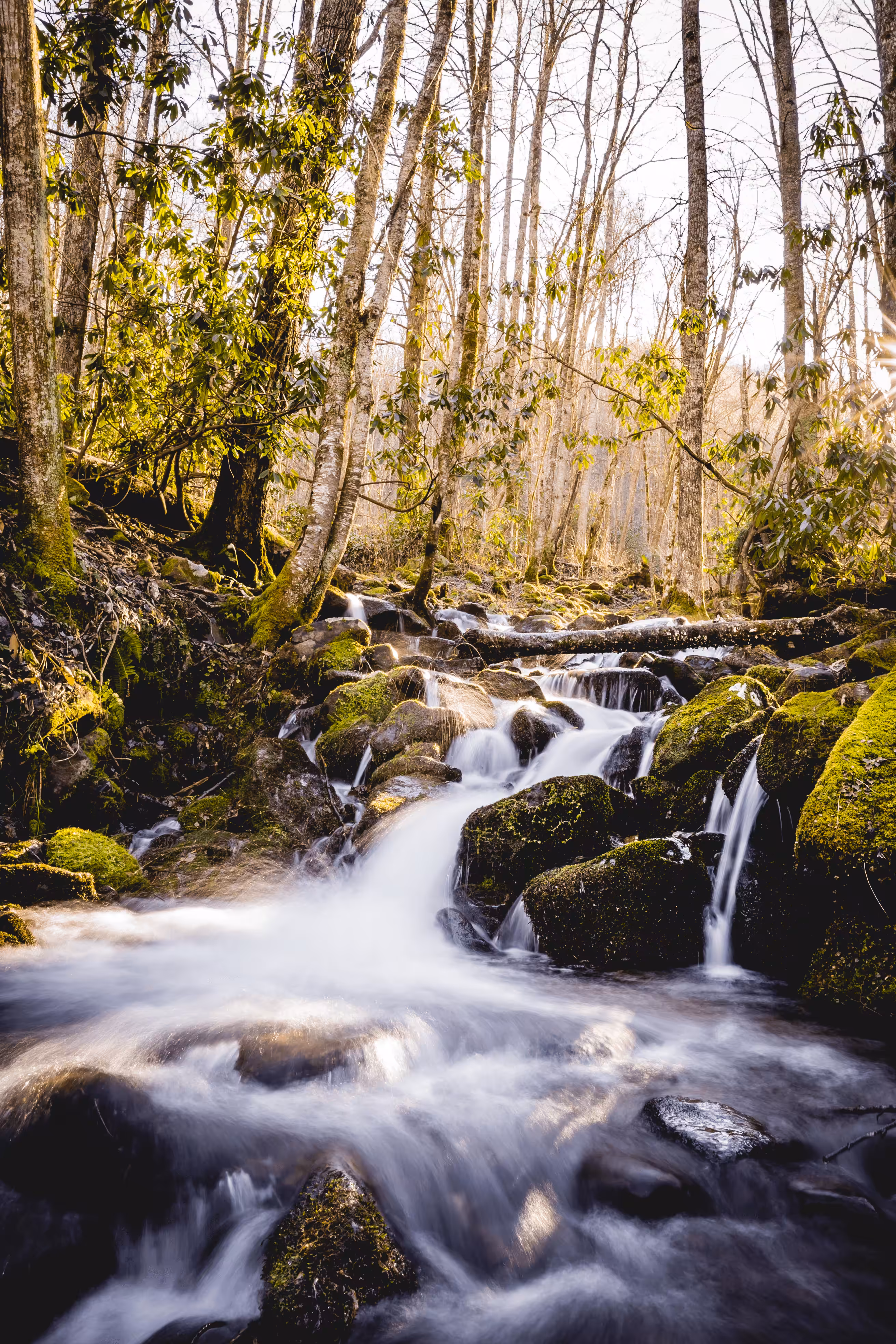 THE LOST SESSIONS 1: "SMOKEY WATER MOUNTAIN"