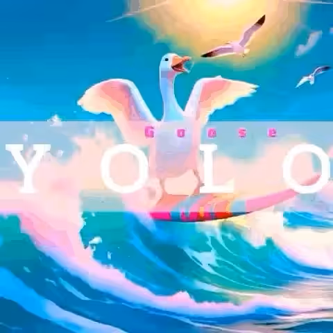 YOLO*