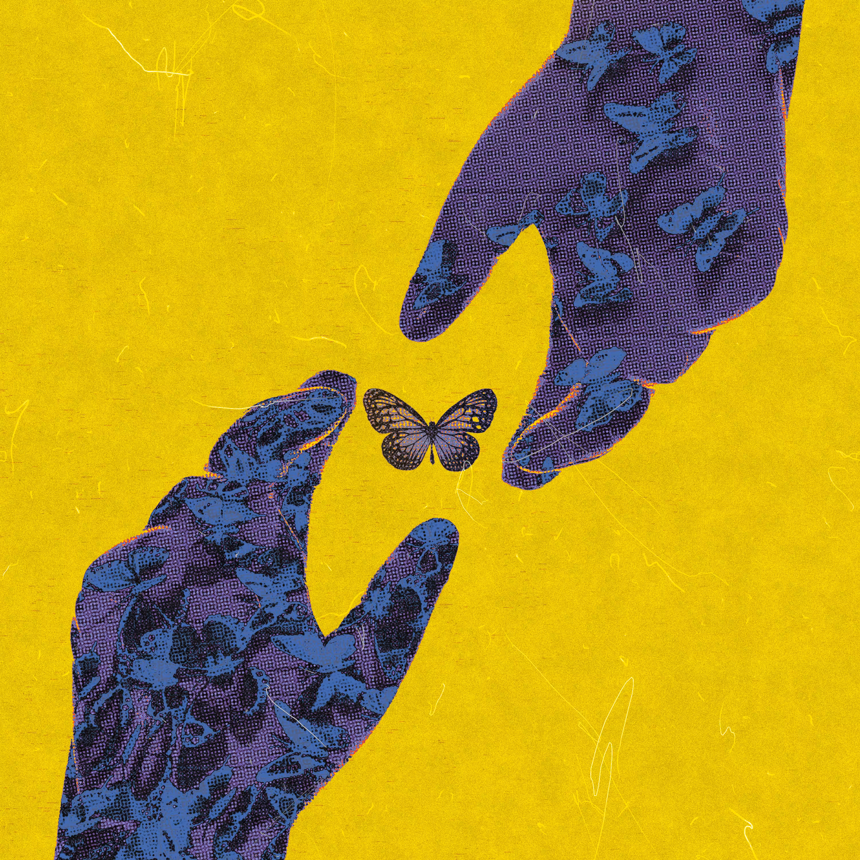 butterfly effect