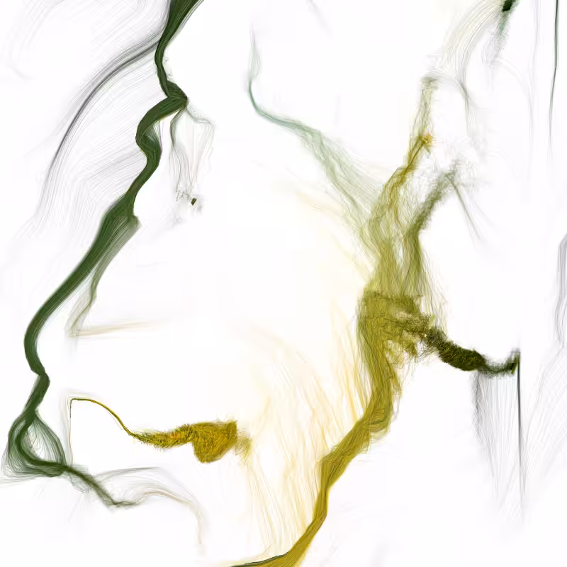 Hypericum #85