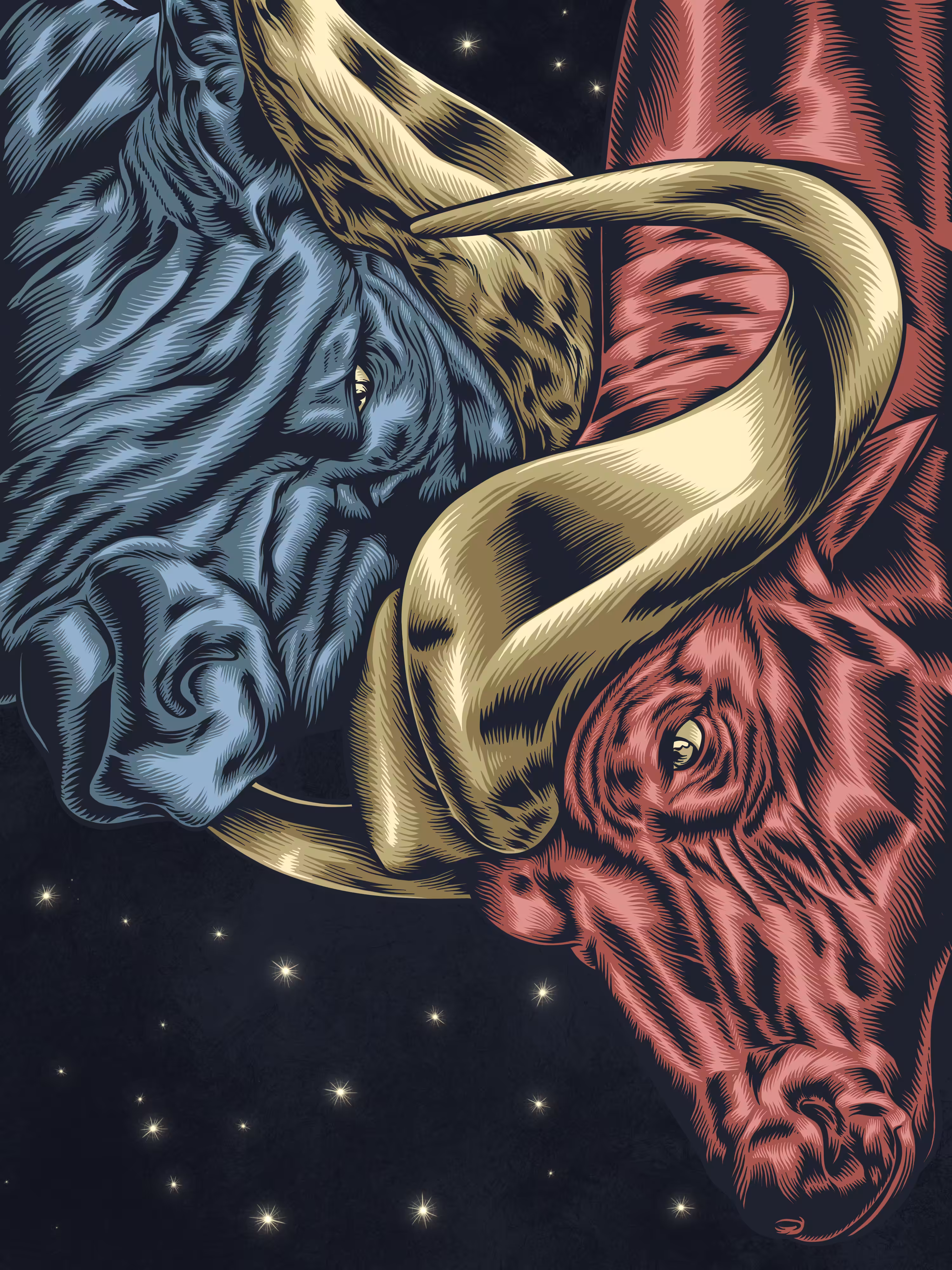 The Taurus