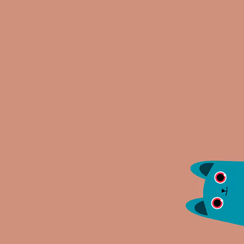 Where is the cat? #10