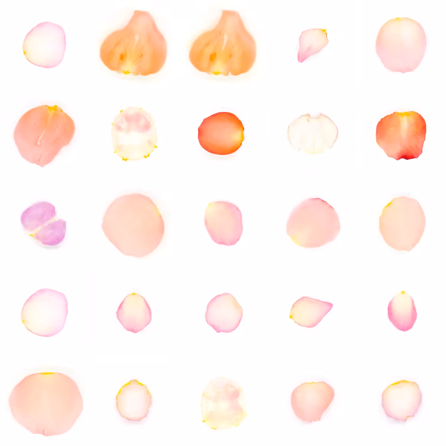 Infinite Petals 5x5#20260