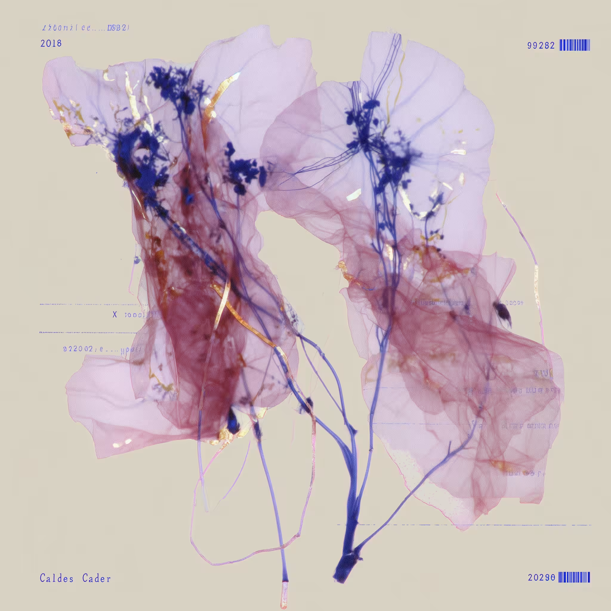 HBA.017 - NOTHING LEFT TO INDEX