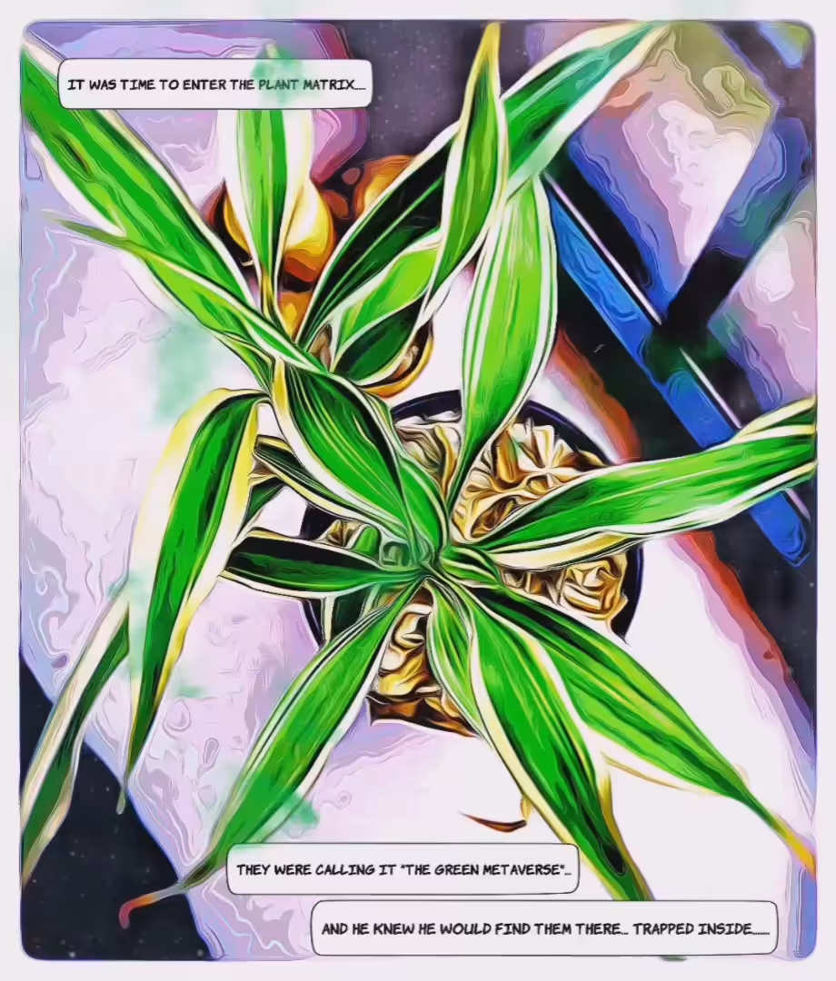enter the Plant Matrix...
