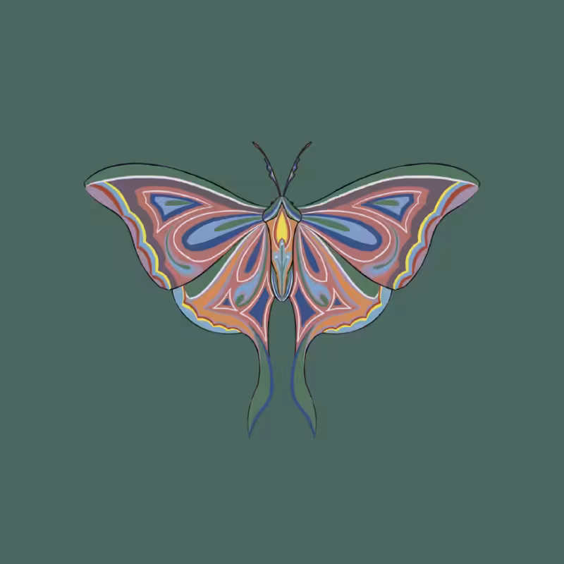 The Moth Experiment 2.0 P1 #4