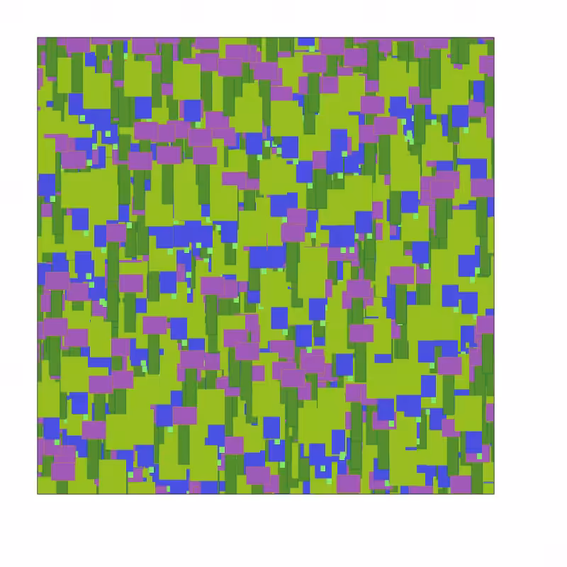 Wild Matrix #200