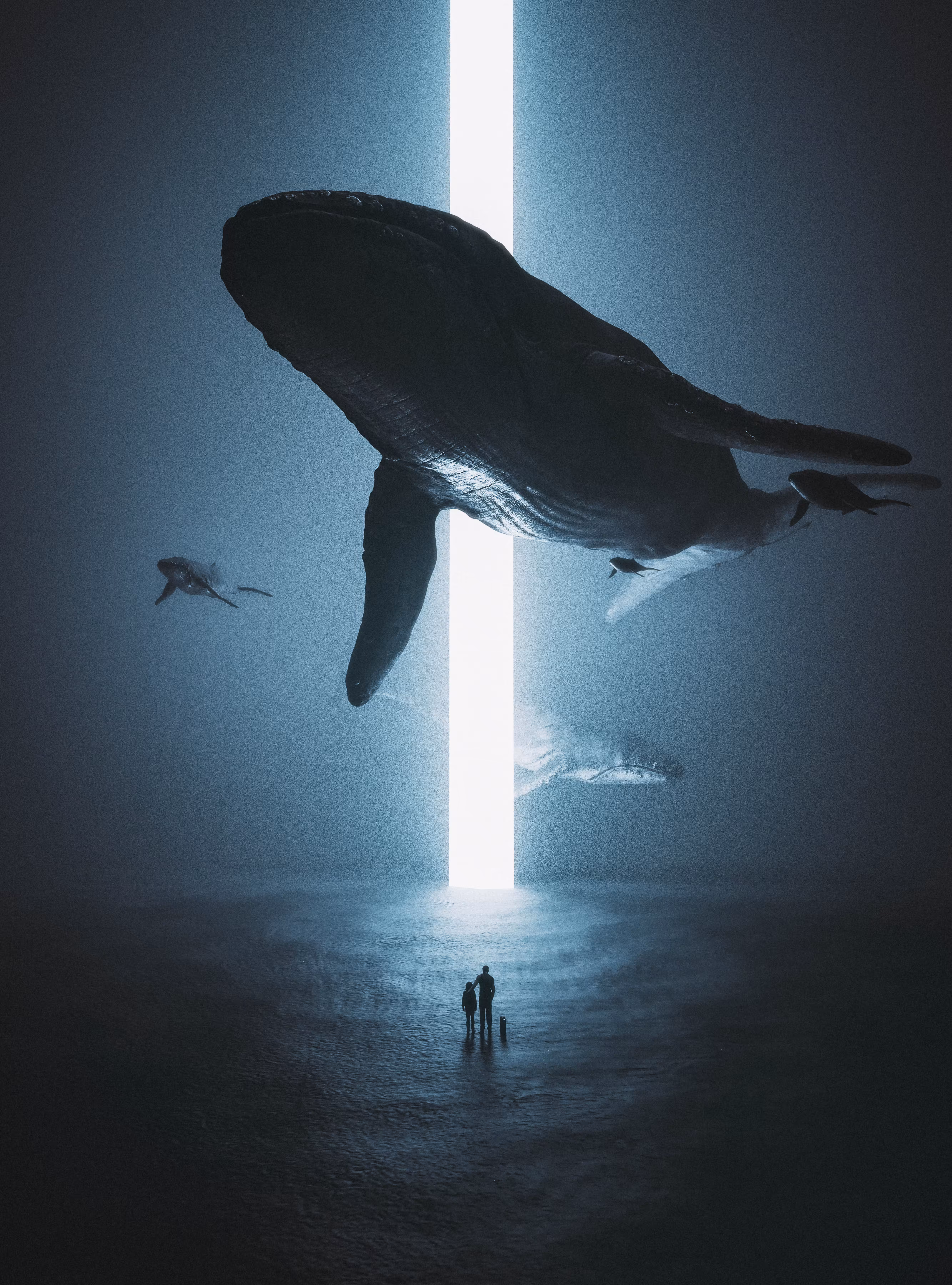 Infinite Imagination