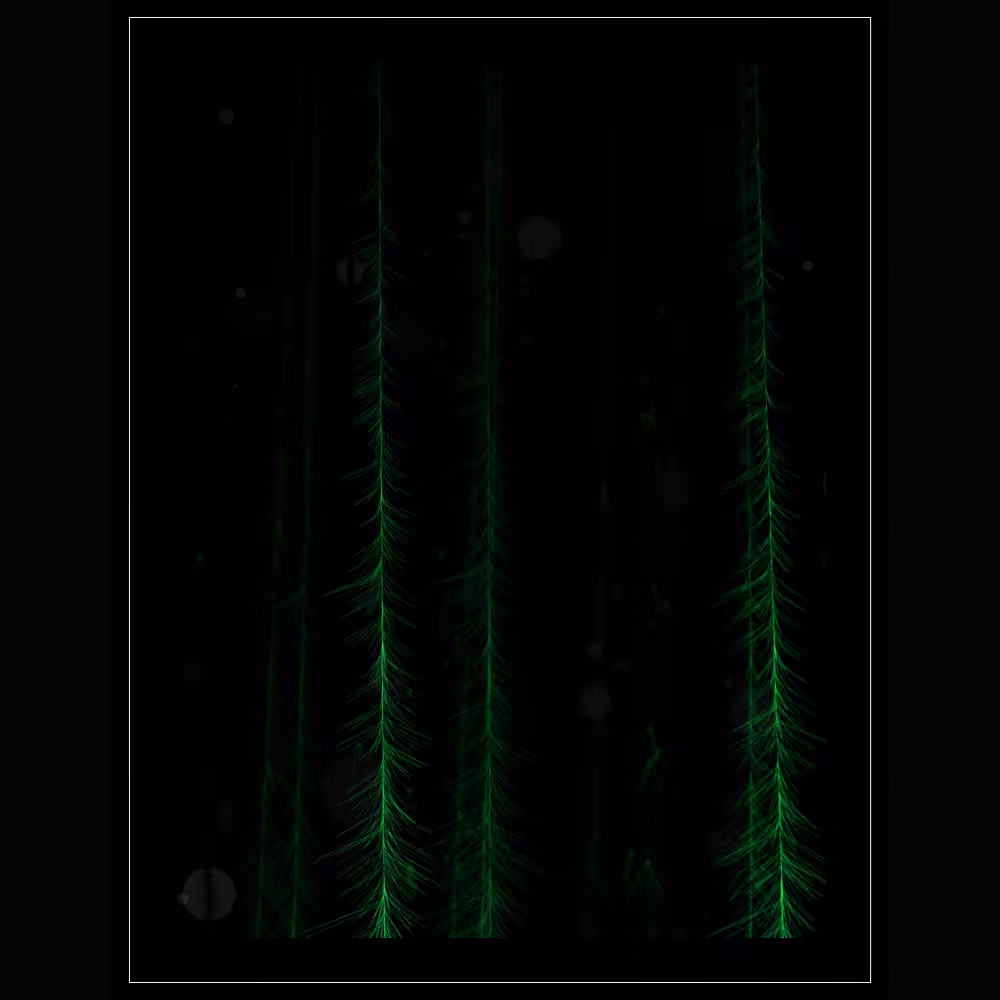 DigiRoots #35