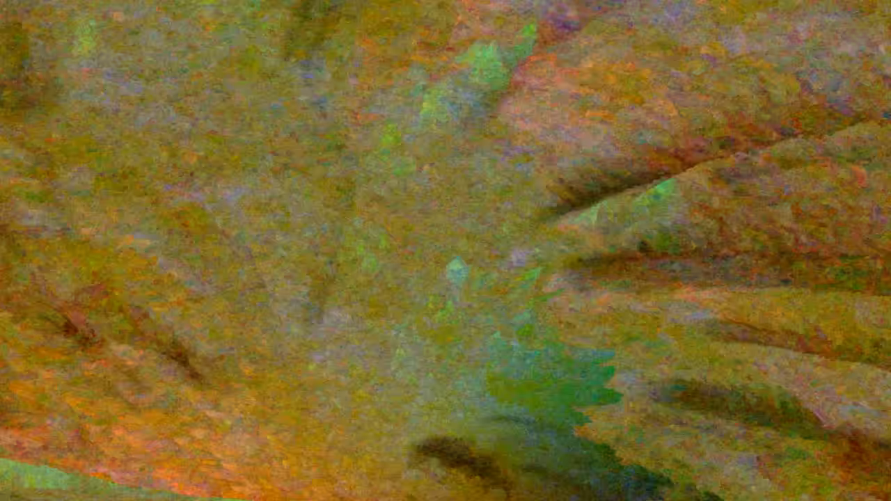 A Forest