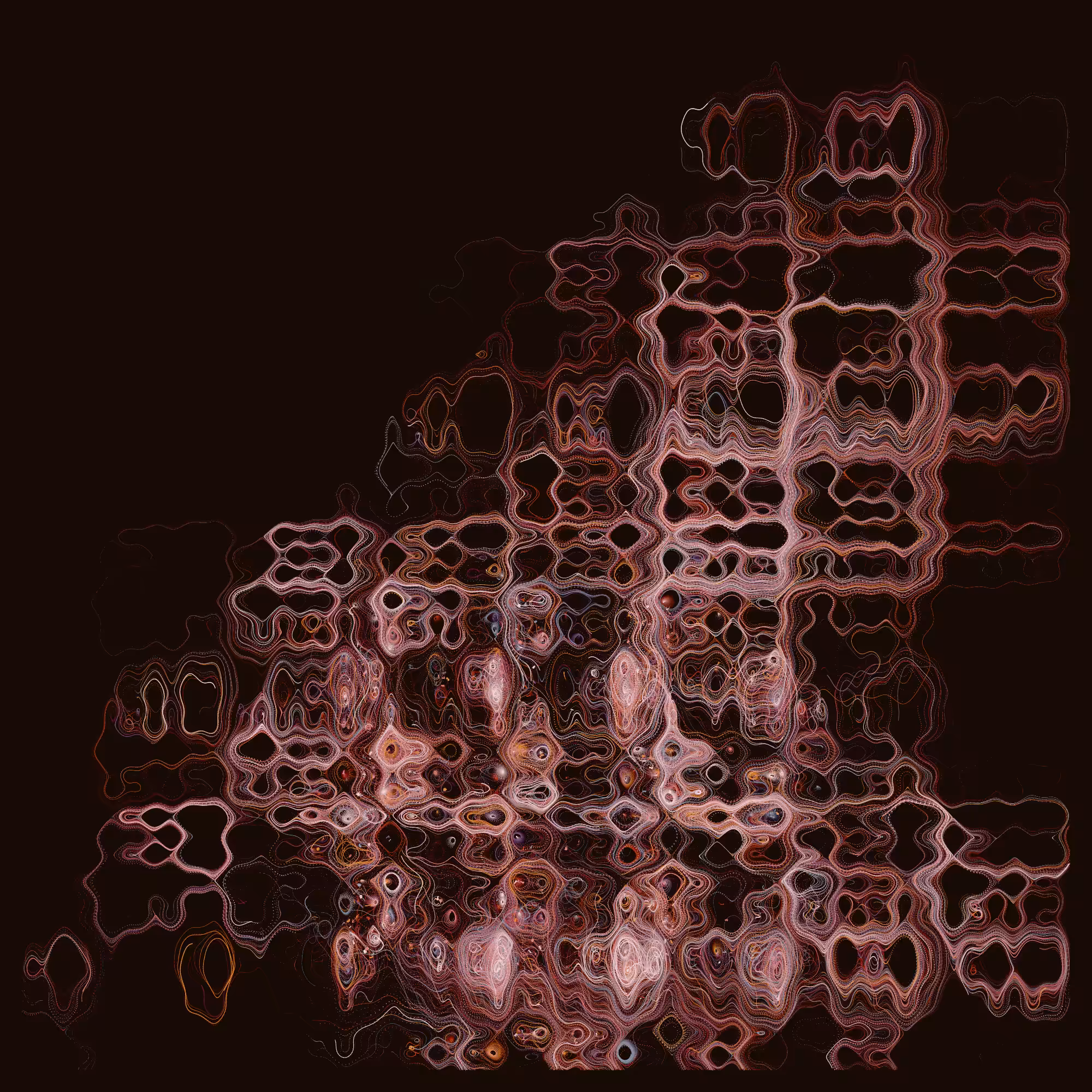 Absorbed #451