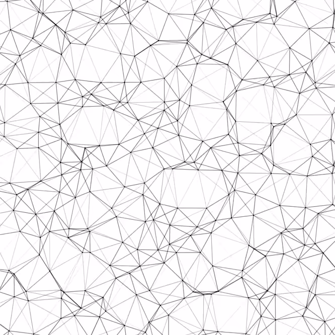 The mesh
