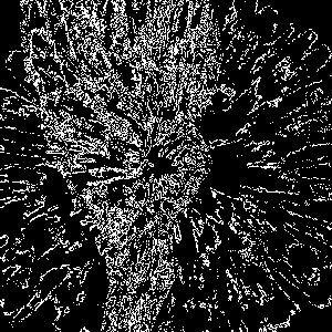 resistance [Expanding Moment]