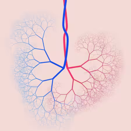capillary trees #26