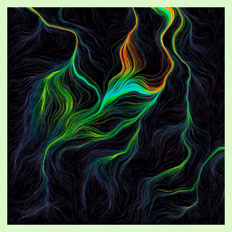 Roots #16