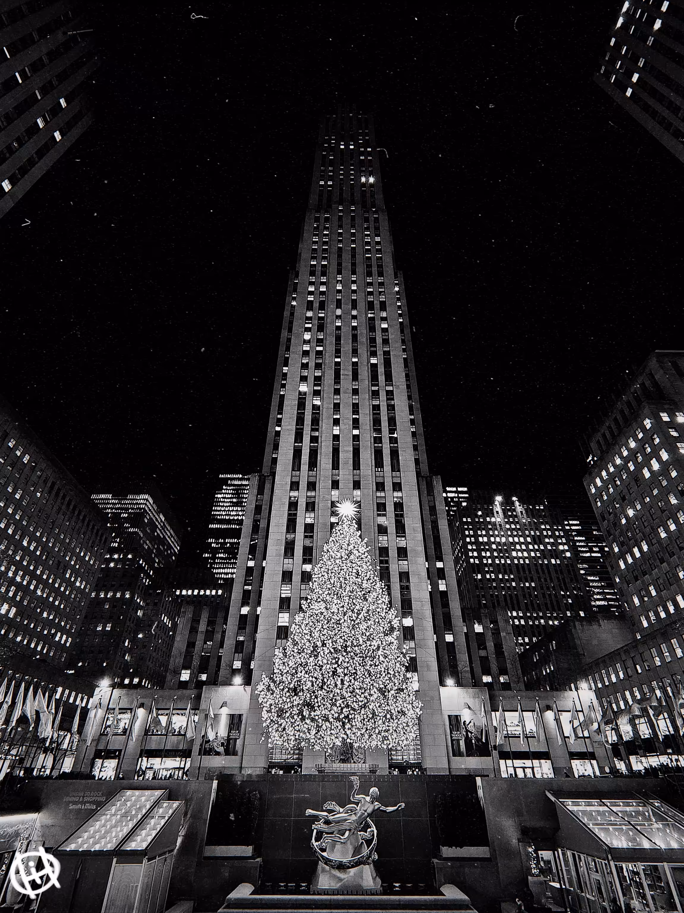 Cathedral of Christmas