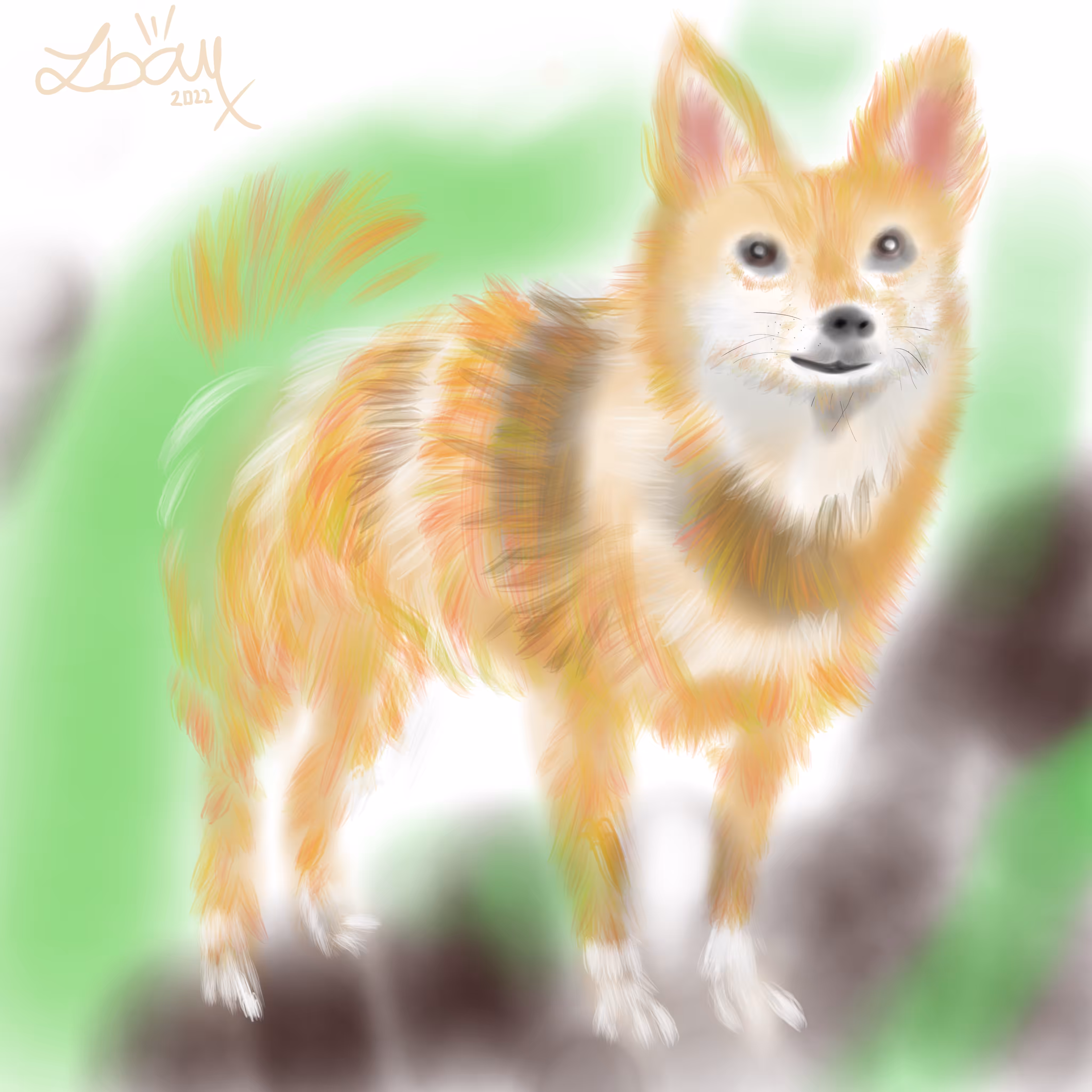 Zorra by Iban