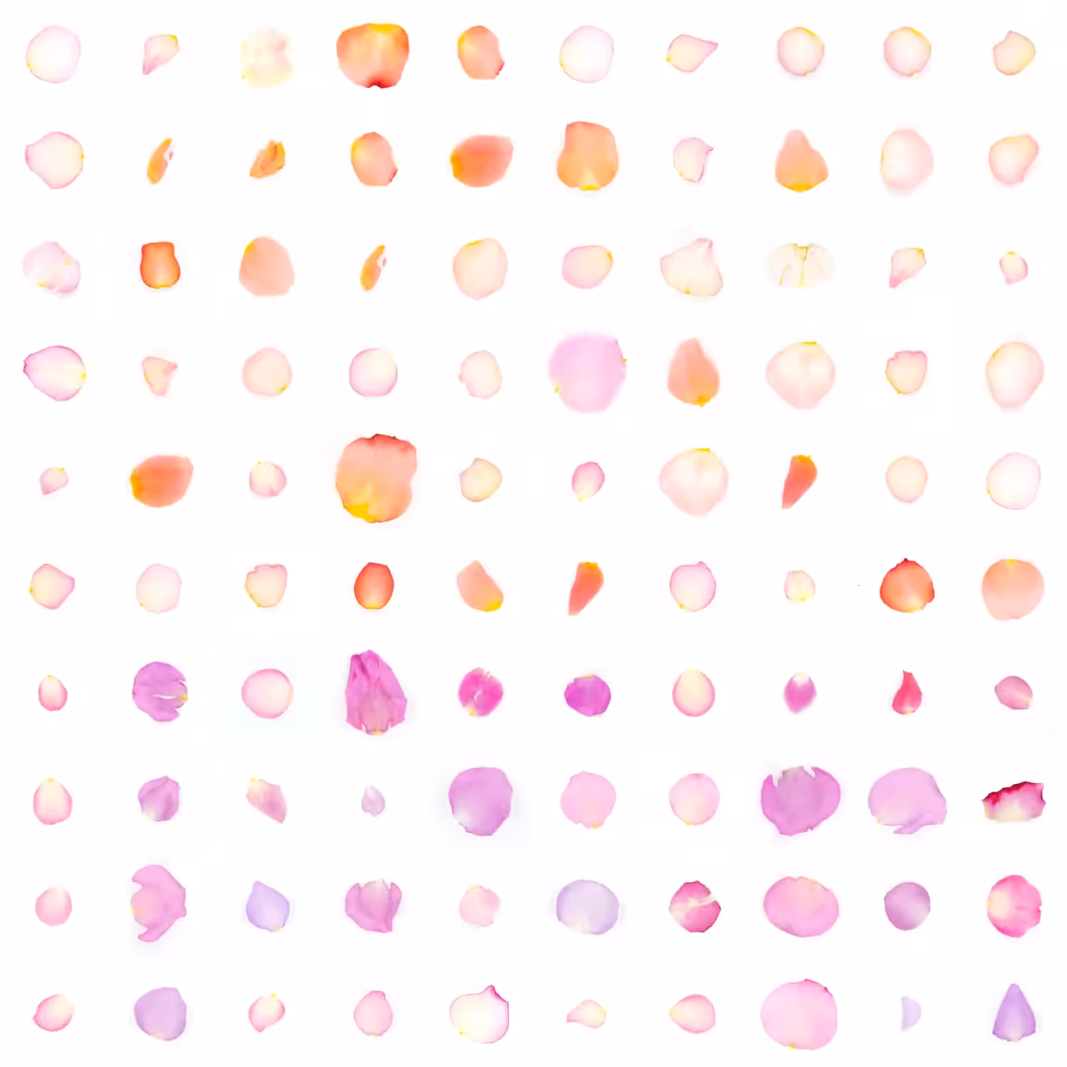 Infinite Petals 10x10#2539