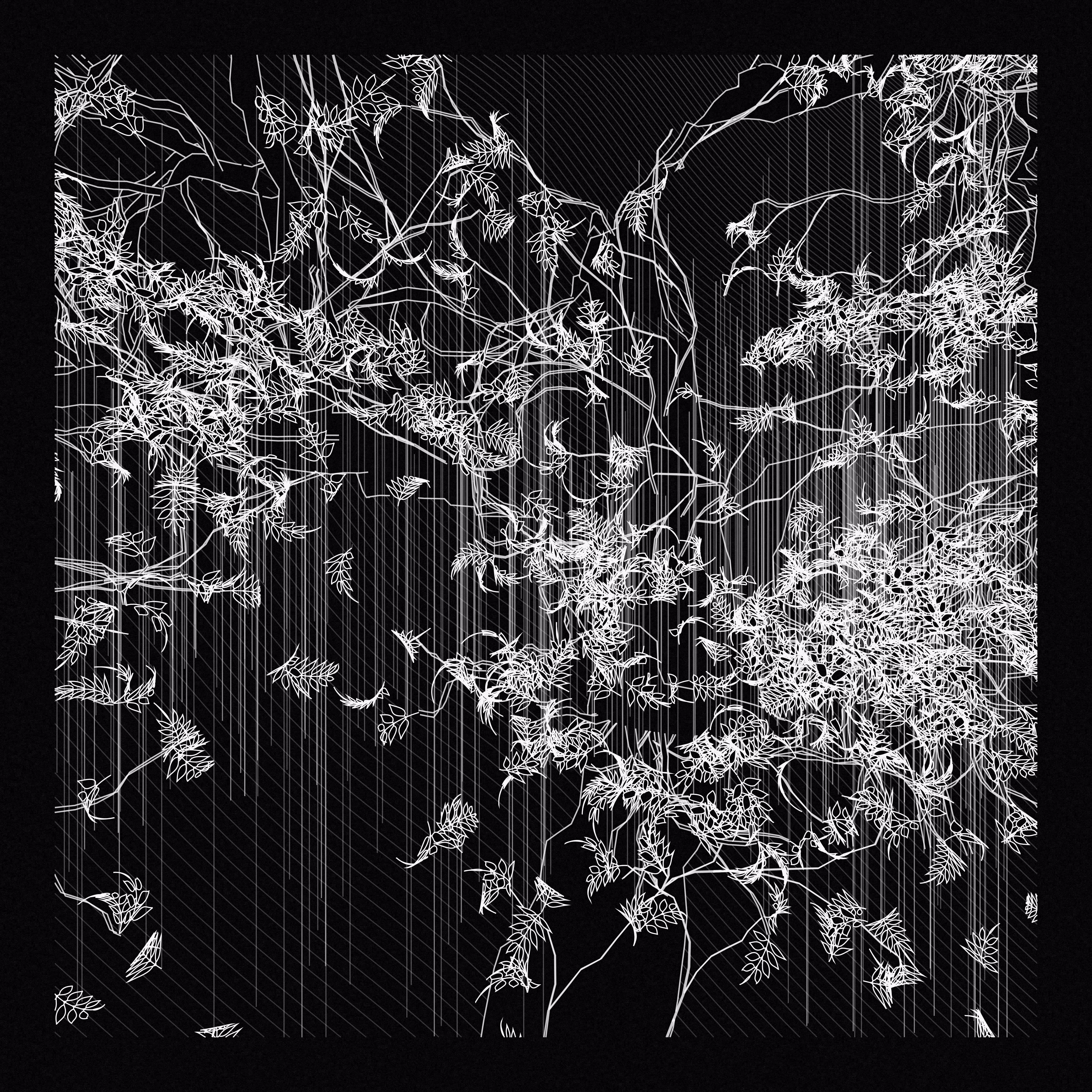 A Bugged Forest #972
