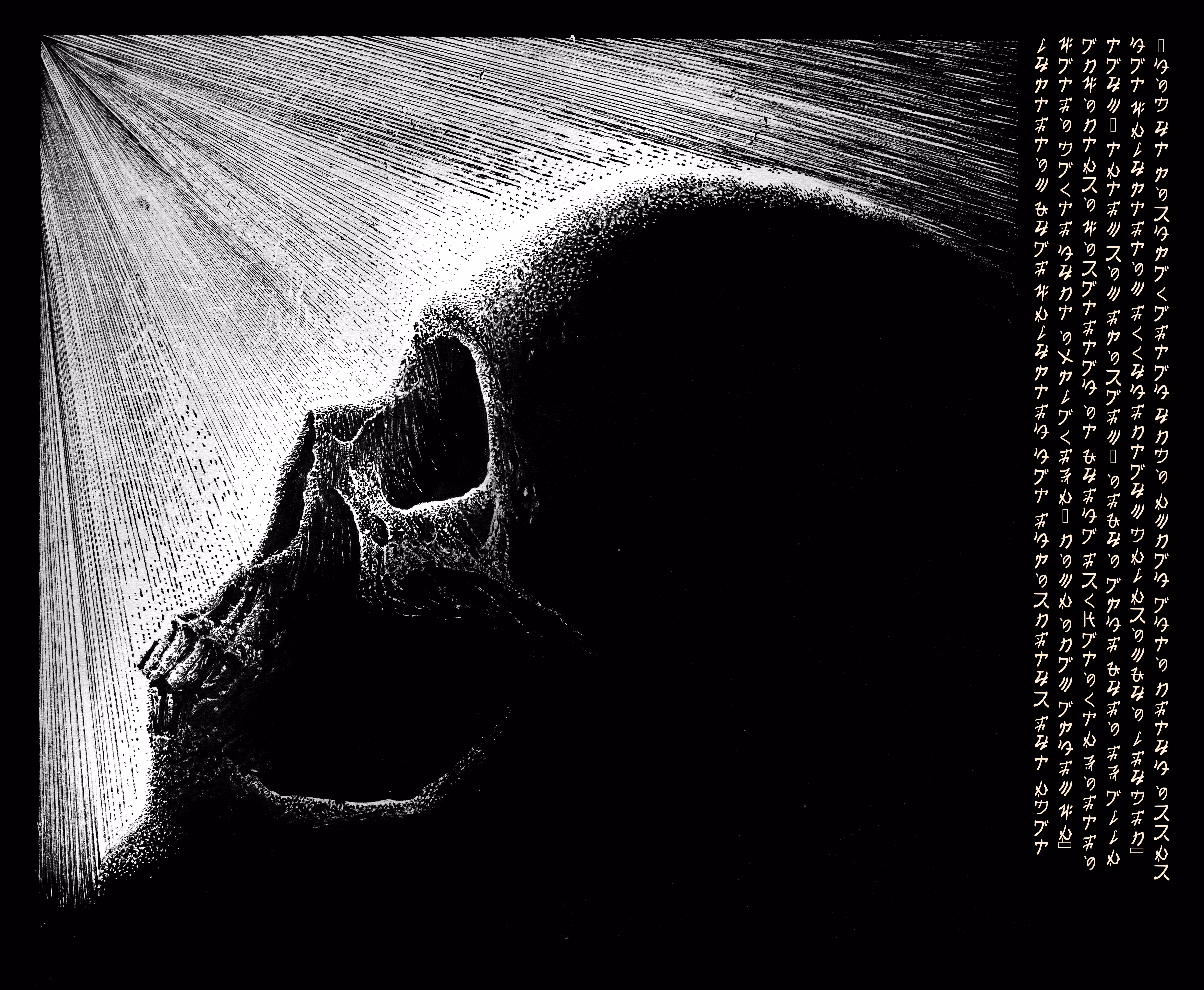 MFAXII - 3