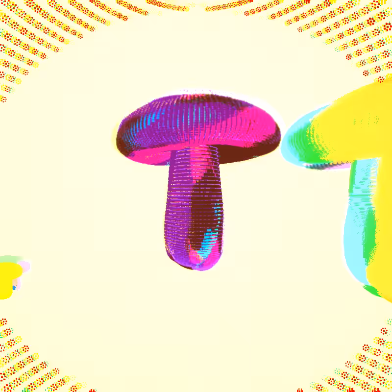 🍄 shr00mz 🍄 #10
