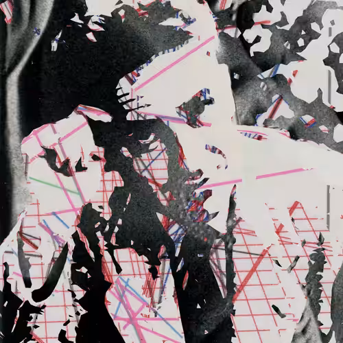 THE GENERATIVE PORTRAIT COLLECTION OF ROBERT MALLARY: Generative Portrait of Robert Mallary #1210